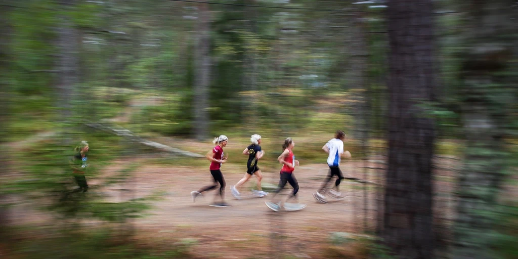 Fartfylld bild av en grupp människor som springer i skogen.