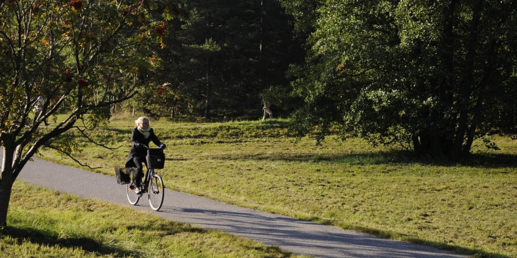 En person som cyklar på en gångväg i en park.