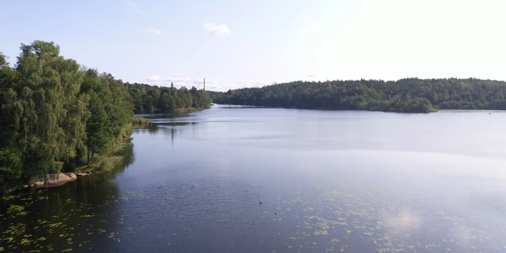 Drönarbild över en sjö omgiven av skog.