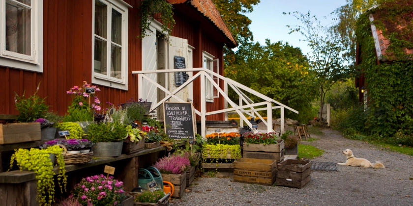 En blomsterhandel i ett äldre, lantligt rött hus. 