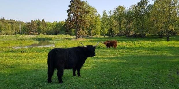 Karta med grön område markerat