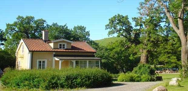 Hustegaholm