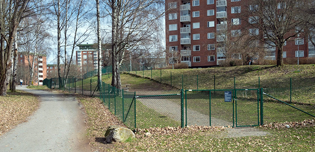 Hundhagen i Larsberg nedanför husen. 