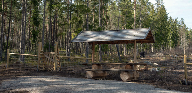 Bord och sittplats under tak i Högbergas hundhage. 