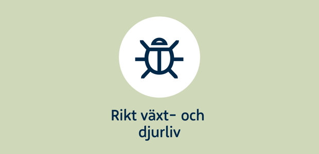 Rikt växt- och djurliv, skalbagge som ikon. 