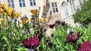 Blommor framför Hersbys skolbyggnad. Foto: Marie Wenström