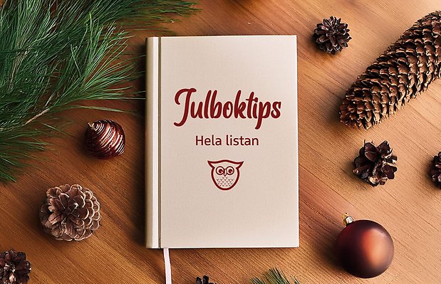 Ett träbord sett ovanifrån. På bordet ligger kottar, julgranskulor och en grankvist samt en bok. På boken står det "Julboktips - Hela listan". Under texten finns bibliotekets ugglesymbol.