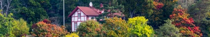 En villa på en kulle omgivet av träd vid vattnet.