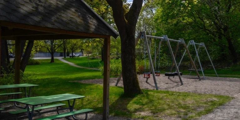 Gungställningar och picknickbord omgiven av grönska.