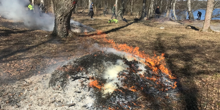 En eld brinner i ett skogsområde.