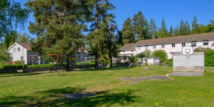 Gräsyta med basketkorg och fotbollsmål.
