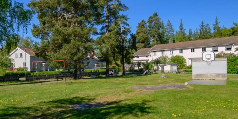 Gräsyta med basketkorg och fotbollsmål.