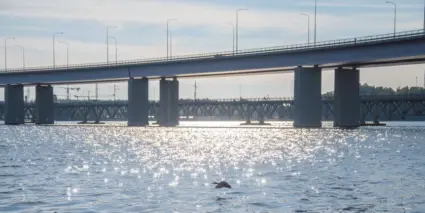 Lidingöbron med glittrande vatten under bron i bakgrunden skymtar Gamla Lilla Lidingöbron