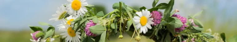 En person som håller en krans av blommor.