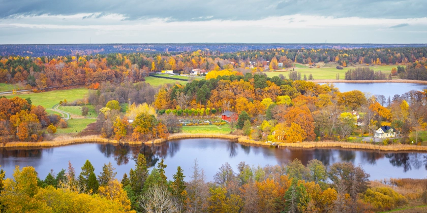 En naturskön vy över vatten omgiven av höstträd.