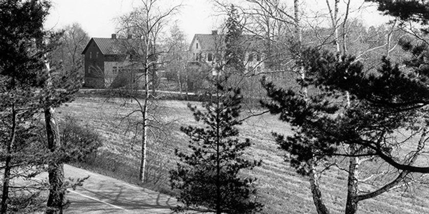 Ett svartvitt foto av en väg till en lantbruksgård.