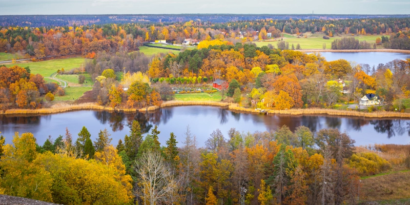 En naturskön vy över vatten omgiven av höstträd.