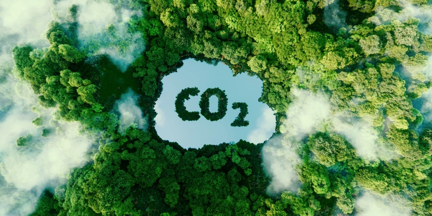Flygfoto på en frodig skog med en damm i mitten med en Co2-symbol.