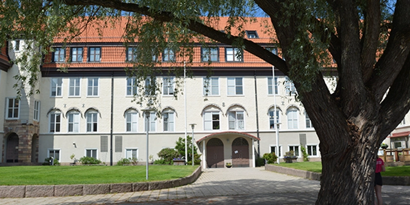 En stor vit byggnad med ett träd i förgrunden.