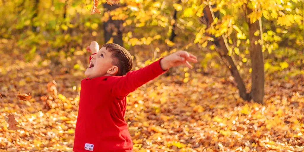 En liten pojke somkastar ut med armarna i en skog full av höstlöv.