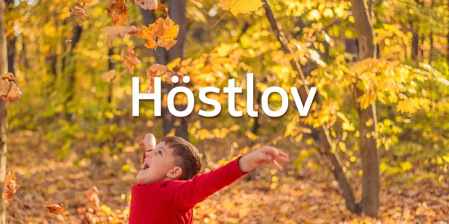 En liten pojke kastar löv upp i luften och texten Höstlov.
