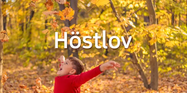 En liten pojke kastar löv upp i luften och texten Höstlov.