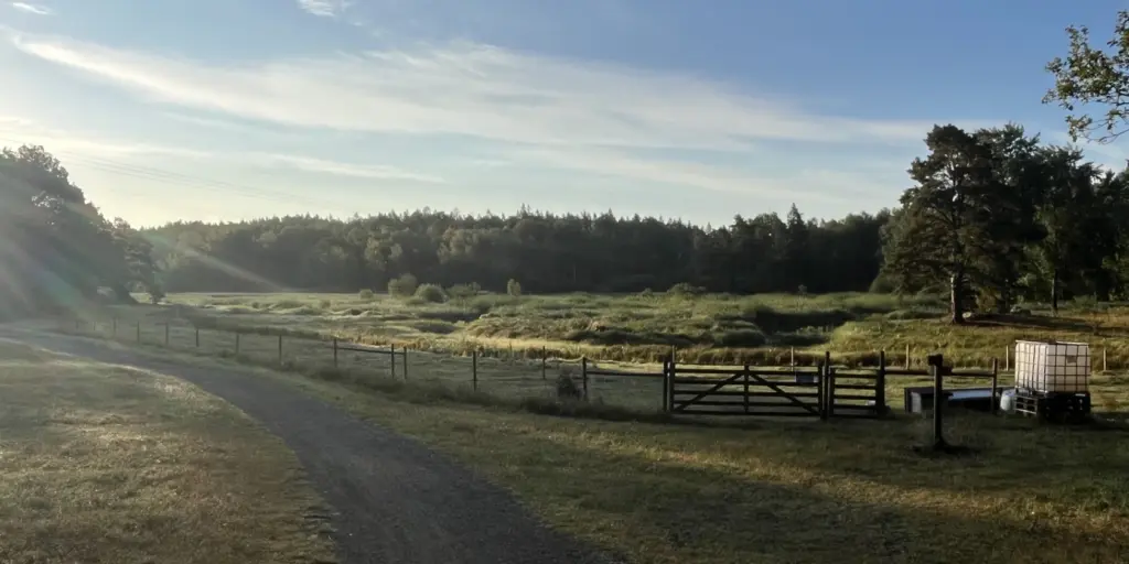 Lidingö stad restaurerar Västra Långängskärret för att hejda igenväxningen och skapa bättre förutsättningar för fågelliv och biologisk mångfald.